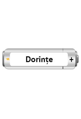 Copertă produs Festina Lente. Jocul Ideilor
