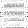 Copertă produs Festina Lente. Jocul Ideilor - gallery small 