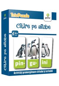 Copertă produs Citire pe silabe