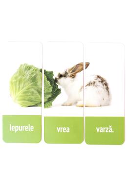 Copertă produs Propoziții din trei cuvinte