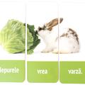 Copertă produs Propoziții din trei cuvinte - gallery small 