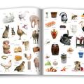 Copertă produs Animale domestice - gallery small 