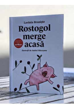 Copertă produs Rostogol merge acasă