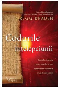 Copertă produs Codurile înțelepciunii