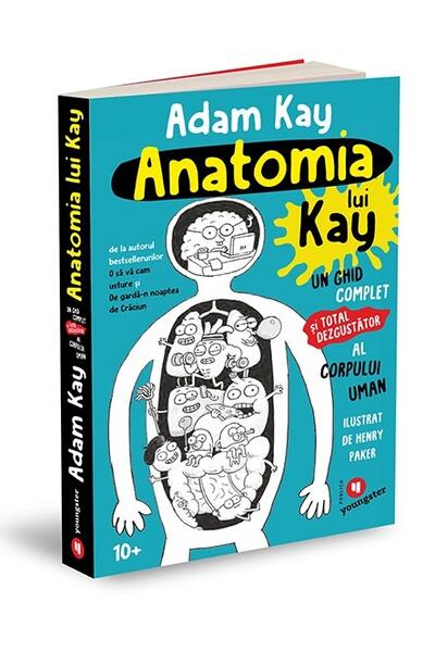 Anatomia lui Kay