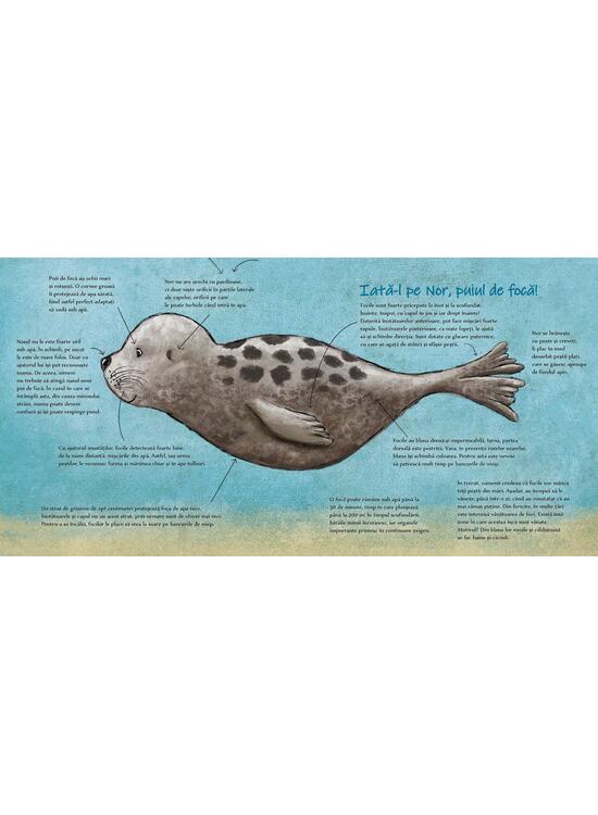 Copertă produs Nor vrea o mare curată - gallery big 3