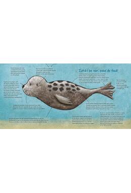 Copertă produs Nor vrea o mare curată