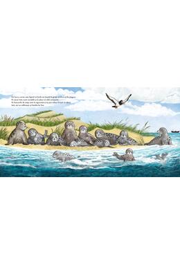 Copertă produs Nor vrea o mare curată