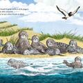Copertă produs Nor vrea o mare curată - gallery small 