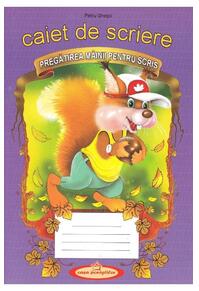 Copertă produs Caiet de scriere