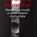 Copertă produs Copiii pierduți ai Rom&acirc;niei. Realitatea crudă a orfelinatelor comuniste - gallery small 