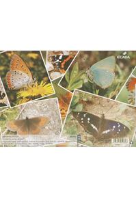 Copertă produs Caiet Biologie 17X24 cm ECADA