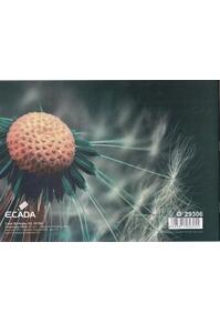 Copertă produs Caiet Biologie A4 ECADA, 24 file