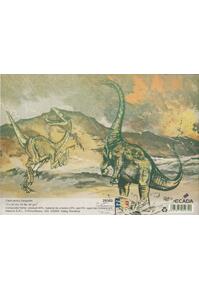 Copertă produs Caiet Geografie 17X24 cm ECADA