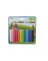 Copertă produs Plastilină 12 culori ECADA - thumb 1