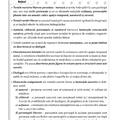 Copertă produs Limba și literatura rom&acirc;nă pentru clasa a VI-a - gallery small 