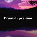 Copertă produs Drumul spre sine - gallery small 