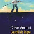 Copertă produs Exerciții de liniște - gallery small 