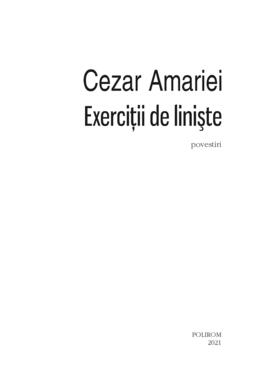 Copertă produs Exerciții de liniște