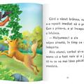 Copertă produs Corbul și vulpea - gallery small 