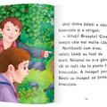 Copertă produs Băieții și broaștele - gallery small 