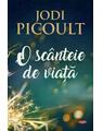 Copertă produs O sc&acirc;nteie de viață (Carte pentru toți) - thumb 1