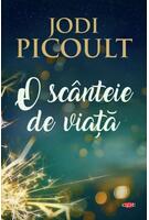 Copertă produs O sc&acirc;nteie de viață (Carte pentru toți)