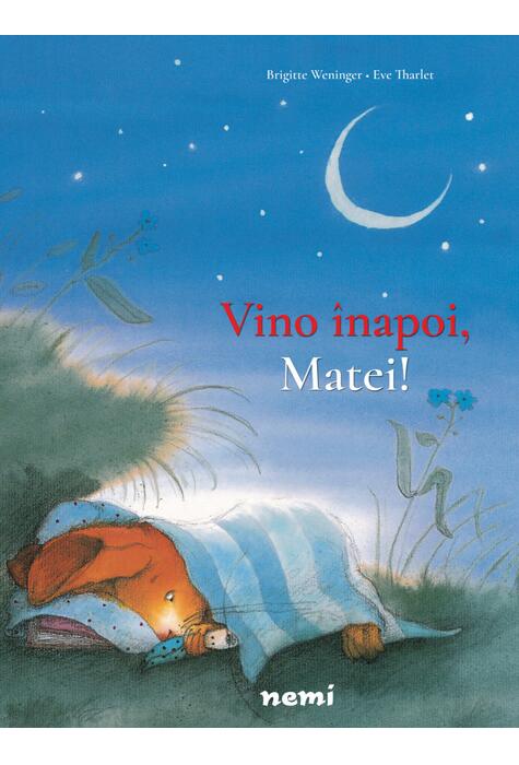Copertă produs Vino &icirc;napoi, Matei!