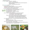 Copertă produs Lecția de Chimie. Clasa a VIII-a - gallery small 