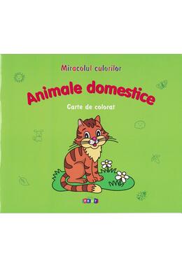 Copertă produs Animale domestice. Carte de colorat