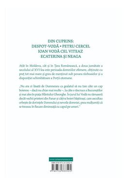 Copertă produs Povestea neamului românesc (Vol. 5)