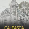 Copertă produs Caleașca aiurită - gallery small 
