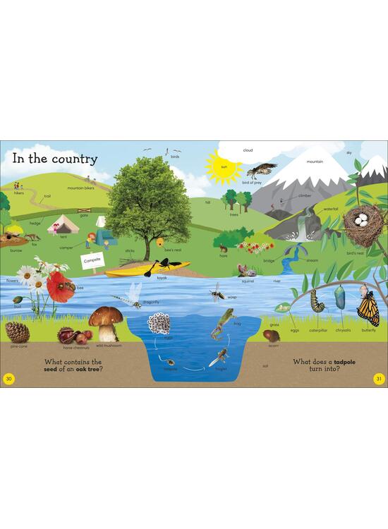 Copertă produs 1000 Useful Words: Build Vocabulary and Literacy Skills - gallery big 5