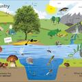 Copertă produs 1000 Useful Words: Build Vocabulary and Literacy Skills - gallery small 
