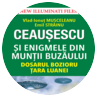 Vlad-Ionuț Musceleanu