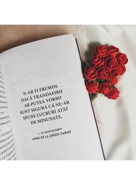 Copertă produs Anne de la Green Gables - gallery big 5