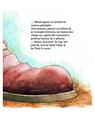 Copertă produs Ronți Ronț nu vrea să doarmă - thumb 6