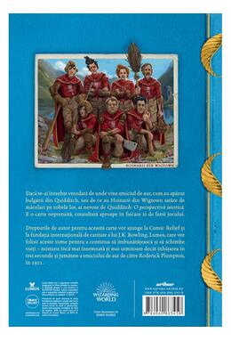 Copertă produs Quidditch. O perspectivă istorică