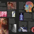 Copertă produs The Human Body Book - gallery small 