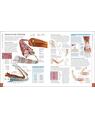 Copertă produs The Human Body Book - thumb 3