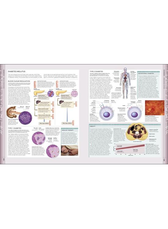 Copertă produs The Human Body Book - gallery big 4