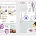 Copertă produs The Human Body Book - gallery small 