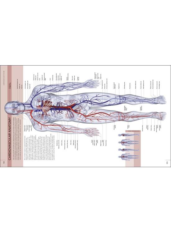 Copertă produs The Human Body Book - gallery big 5