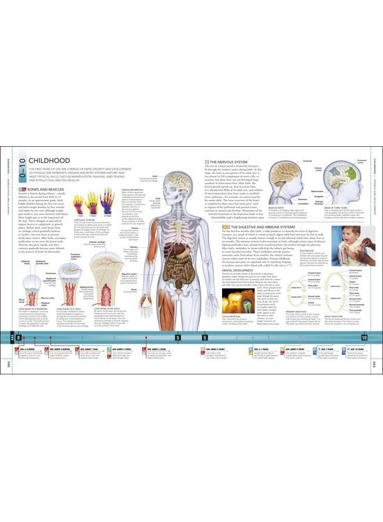 Copertă produs The Human Body Book - gallery big 6