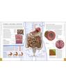 Copertă produs The Human Body Book - thumb 8