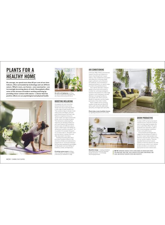 Copertă produs Grow Houseplants. Essential know-how and expert advice for gardening success - gallery big 2
