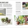Copertă produs Grow Houseplants. Essential know-how and expert advice for gardening success - gallery small 