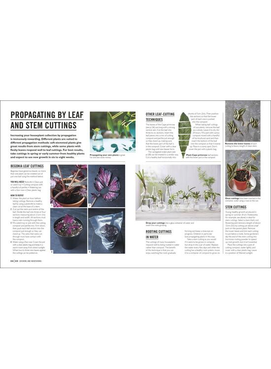 Copertă produs Grow Houseplants. Essential know-how and expert advice for gardening success - gallery big 4