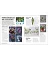 Copertă produs Grow Houseplants. Essential know-how and expert advice for gardening success - thumb 4