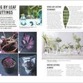 Copertă produs Grow Houseplants. Essential know-how and expert advice for gardening success - gallery small 